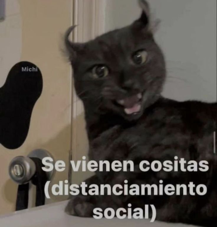 Kyle_El_Conazo's tweet photo. Eh vuelto a la prepa, pero a que costo?
Jsjajas, ahora tendre menos tiempo mierda :3 https://t.co/YIvfC56G5n