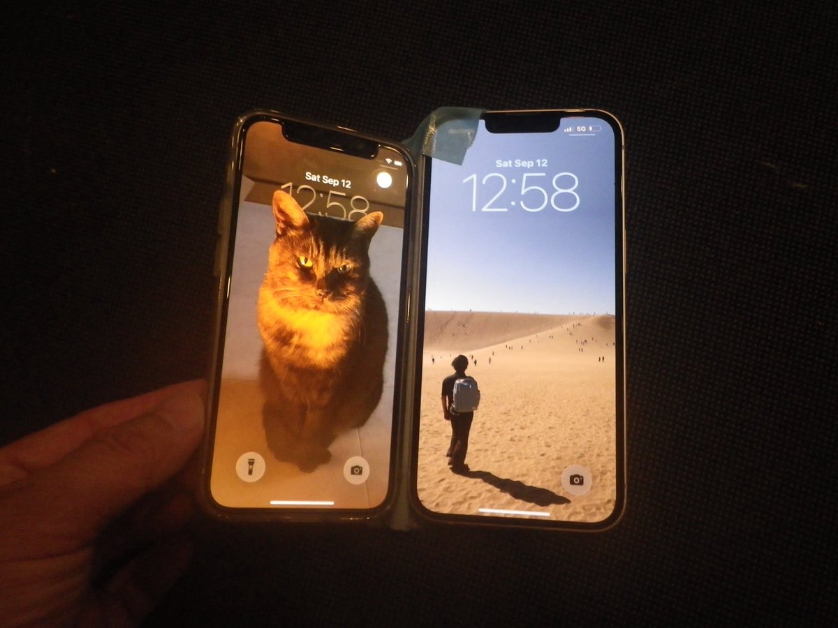 yaskaz's tweet photo. iPhone12miniの突然のカメラ不調、結局娘さんのiPhone14のお下がりを貰うことにしたのだけど新しい方は容量が128Gのため、シベリウスとバッハの全楽曲とマーラーとLvBとブルックナーとショスタコーヴィチとチャイコフスキーの全交響曲が入りきらんので、両機をガムテで留めDuo形態で使うことにする https://t.co/elm2ft4v9k