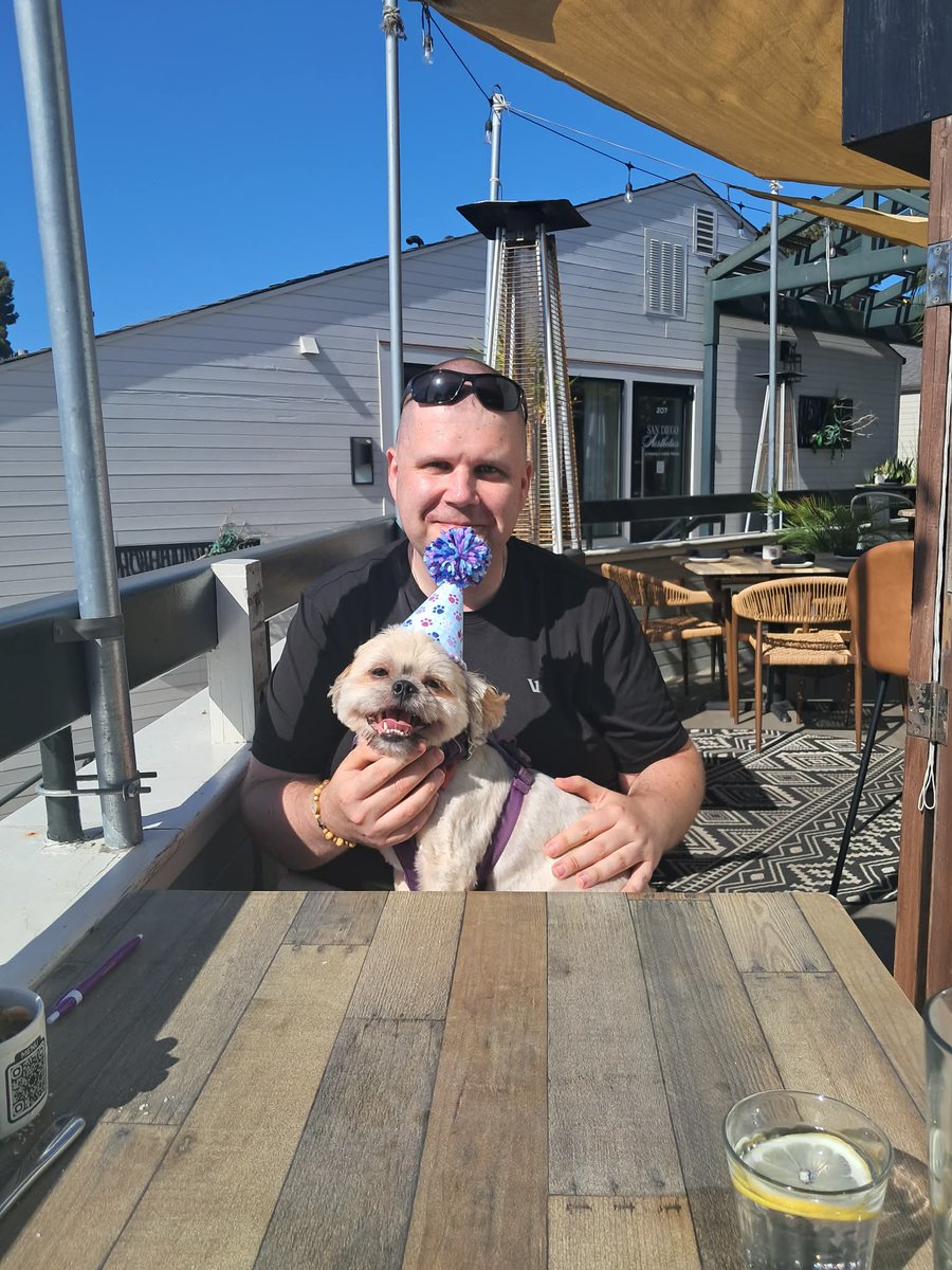 JohnMasiulionis's tweet photo. Four years old. Four paws. One very proud dog dad. πΎππΎ
#LittleForrest: Youβve brought more joy, laughter, companionship, and unforgettable memories into my life than I ever could have imagined. Whether weβre exploring somewhere new or enjoying a quiet day together, you have a special way of making every moment brighter simply by being your loving, authentic self. π
The fact that you were born on September 11 has always carried profound meaning for me. On a date forever marked by unimaginable loss and remembrance, your life offers quiet proof that love can still enter the world, light can still find us, and hope can begin again. β€οΈβπ©Ή
Iβve always believed you were a heaven-sent angel from Babciaβhere to walk beside me, watch over me, and make sure I would never have to walk alone. π
Hereβs to another year of sunshine, new adventures, plenty of treats, and being loved beyond measure. Without a doubt, many more magical and memorable trolley stops and miracles await us. πππ
#HappyBirthday, little dude! π€