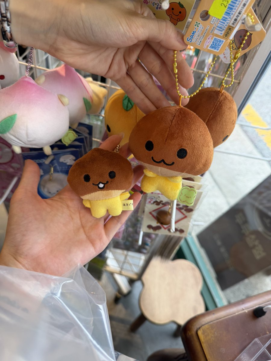 thurs_daychild's tweet photo. 어딜 가도 냥냥이햄햄이 생각이 나는구나 https://t.co/aqTj1xlLLe