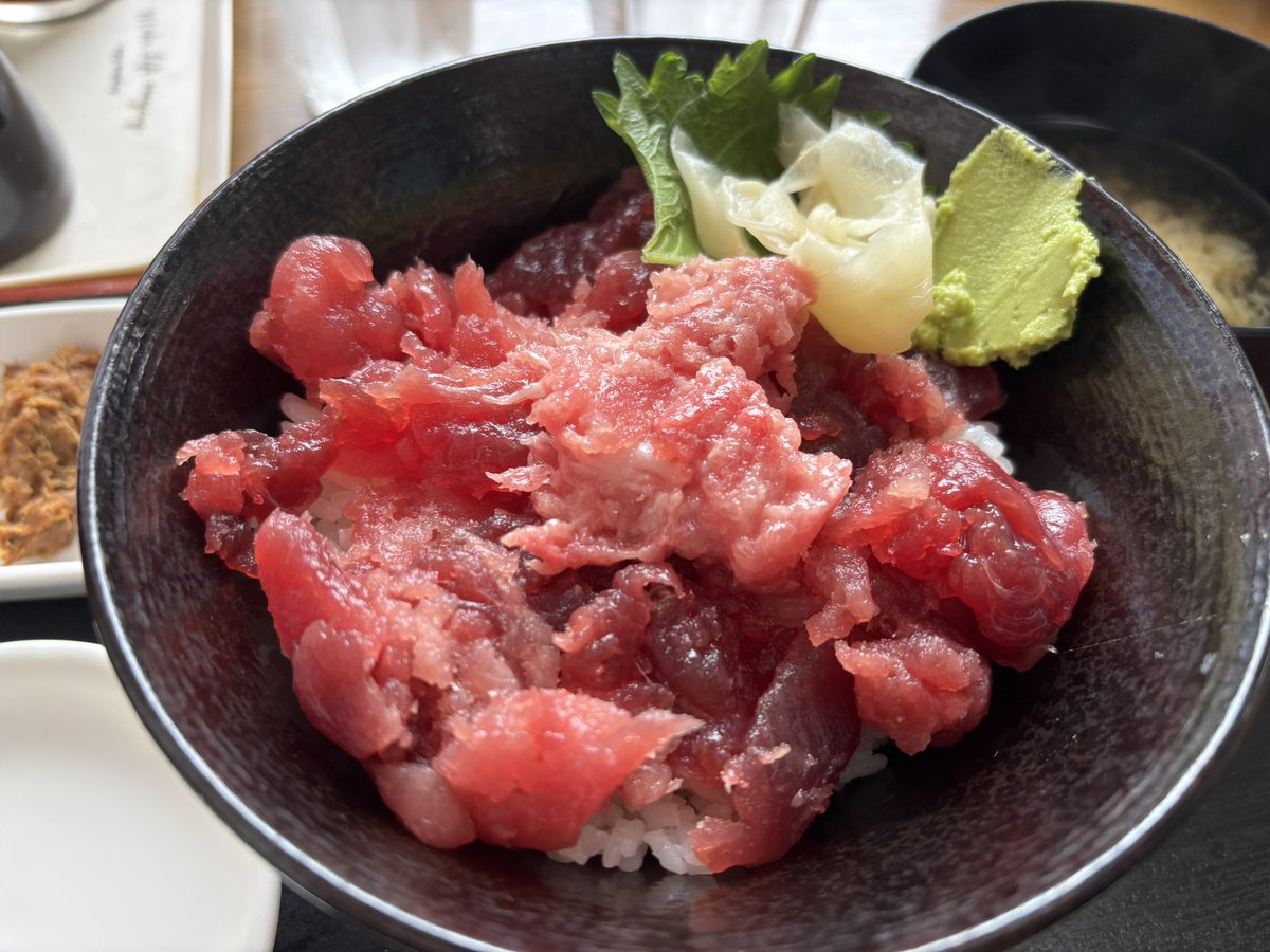 kototti_grbl's tweet photo. #ダニ飯 
初静岡飯で焼津!
まぐろなかおち丼

ご馳走様でした🙏 https://t.co/q3cJAafWXx