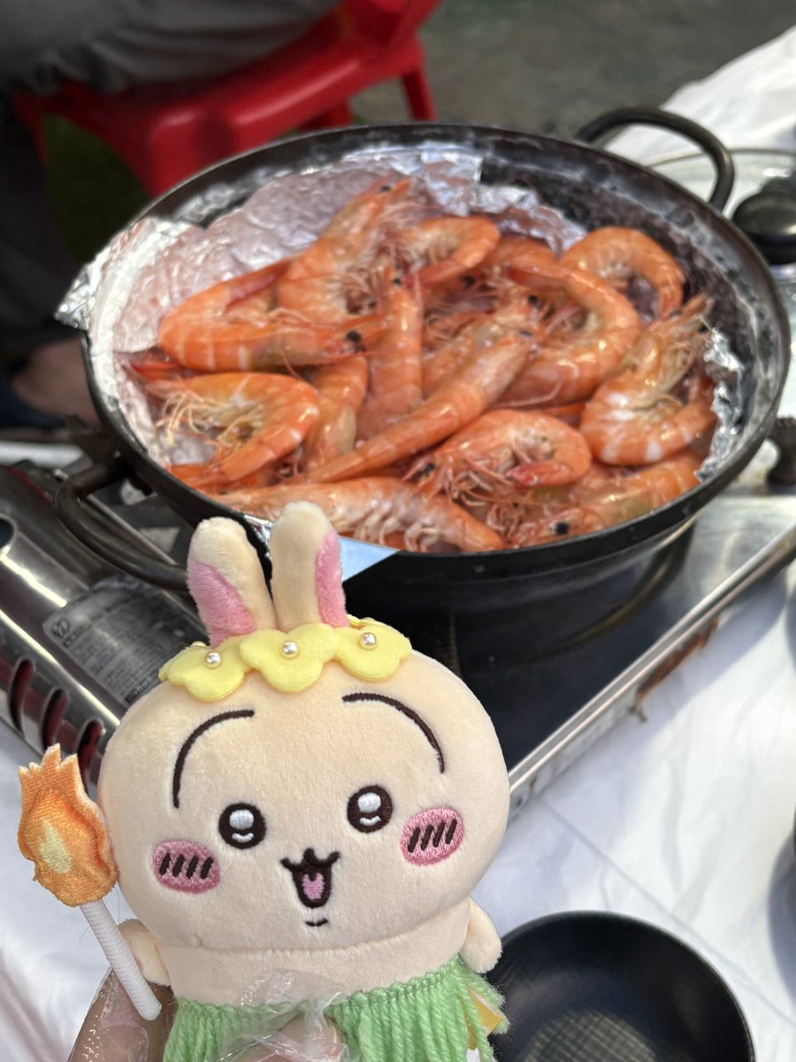 hams_yoyo's tweet photo. 새우철이에용🦐 https://t.co/rGzUo93K2A