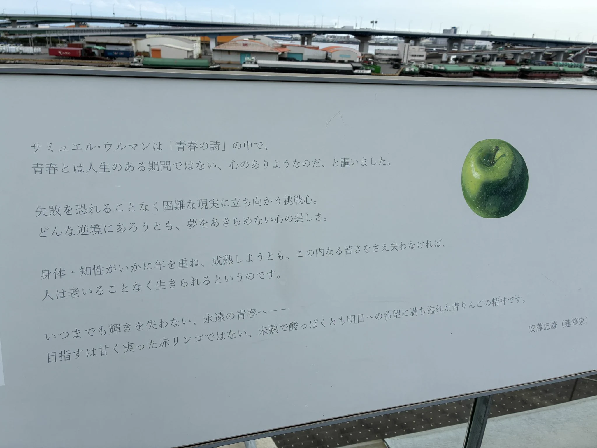 あおりんごページ rin_oden on X: 