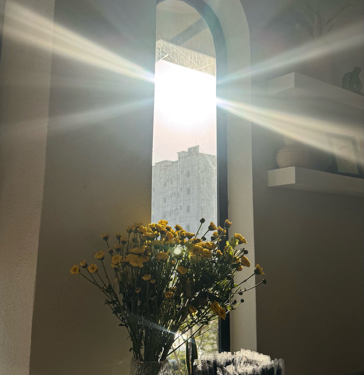 lil_268's tweet photo. صباحيّات السبت ☀️ https://t.co/Ms61Jh9XIC