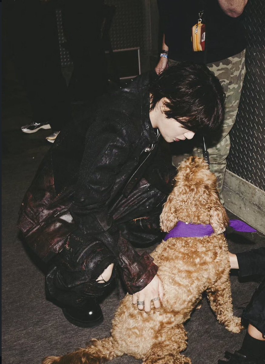 yoonkookify's tweet photo. this got me so emotional especially knowing he was always around stoney… he really has such a soft spot for animals 🥹 https://t.co/q4zhtH3AJL