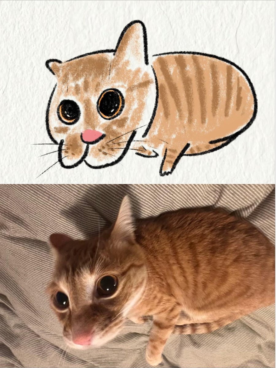 nocontextscats's tweet photo. 🐭 https://t.co/Rb2RR9VTDG