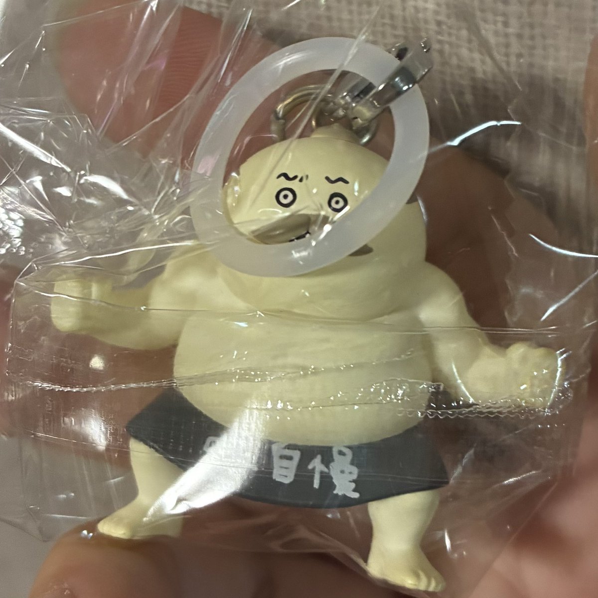gheibou's tweet photo. @8odz0b こんにちは、検索よりお声掛け失礼致します。
当方島二郎を所持しております。
郵送にてセイレーンとの交換は可能でしょうか？
難しいとは思いますが、ご検討よろしくお願い致します🙇‍♀️ https://t.co/XVcyDEBcAV