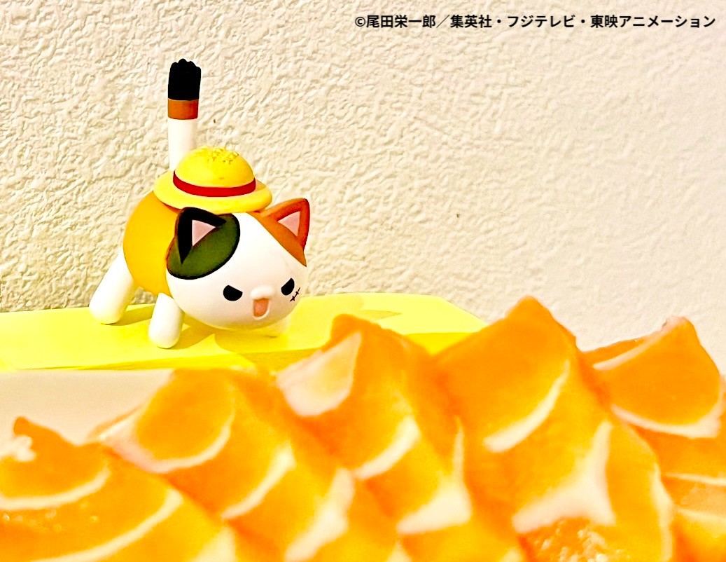 megahouse_tori's tweet photo. 📓MEGACATだいありー

サーモンは赤いのに白身魚ニャのか？
不思議ニャ！
https://t.co/sY5QM78o3z

みなさんも「#MEGACATだいありー」で
ぜひMEGACATシリーズの写真を投稿してくださいメガ♪

#ONEPIECE
#MEGACAT #MEGACATPROJECT #MEGACATだいありー https://t.co/HHvDAgyzgu