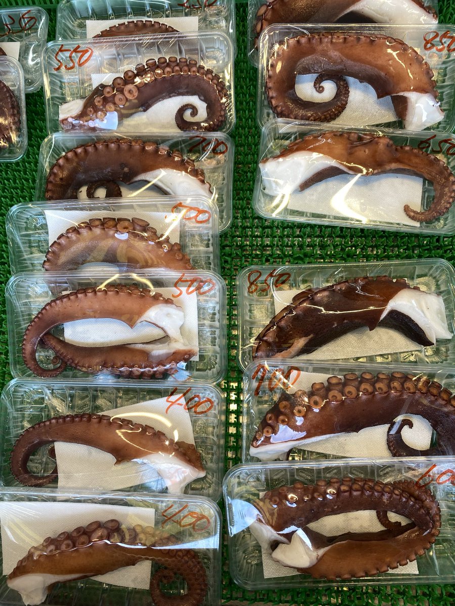 ohkita_mahiro's tweet photo. 桃子ちゃん、今日のタコよ
今日のタコはゆでだこ

魚屋のおじさんがよく撮れるようにケースを開けてくれたよ https://t.co/rnMyu16bS9