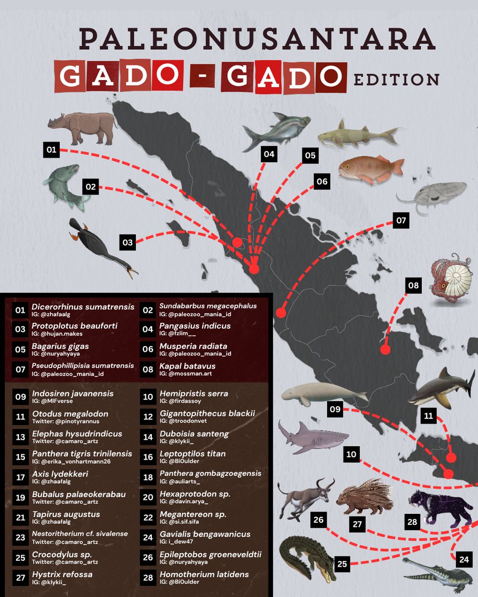 Mossmanarts's tweet photo. 21 Indonesian Artists, 57 Extinct Animals, 1 Country

This year the Indonesian paleo community decided to draw as many extinct animals as they can and put them over a map of Indonesia, please enjoy our collective works! 🙏 https://t.co/CPaCOzEEM1