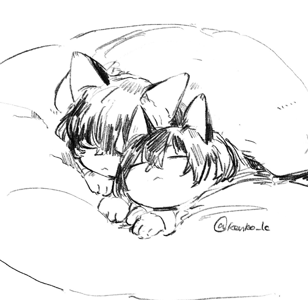 kenko_LC's tweet photo. 猫イたち https://t.co/pJHc9idQCI