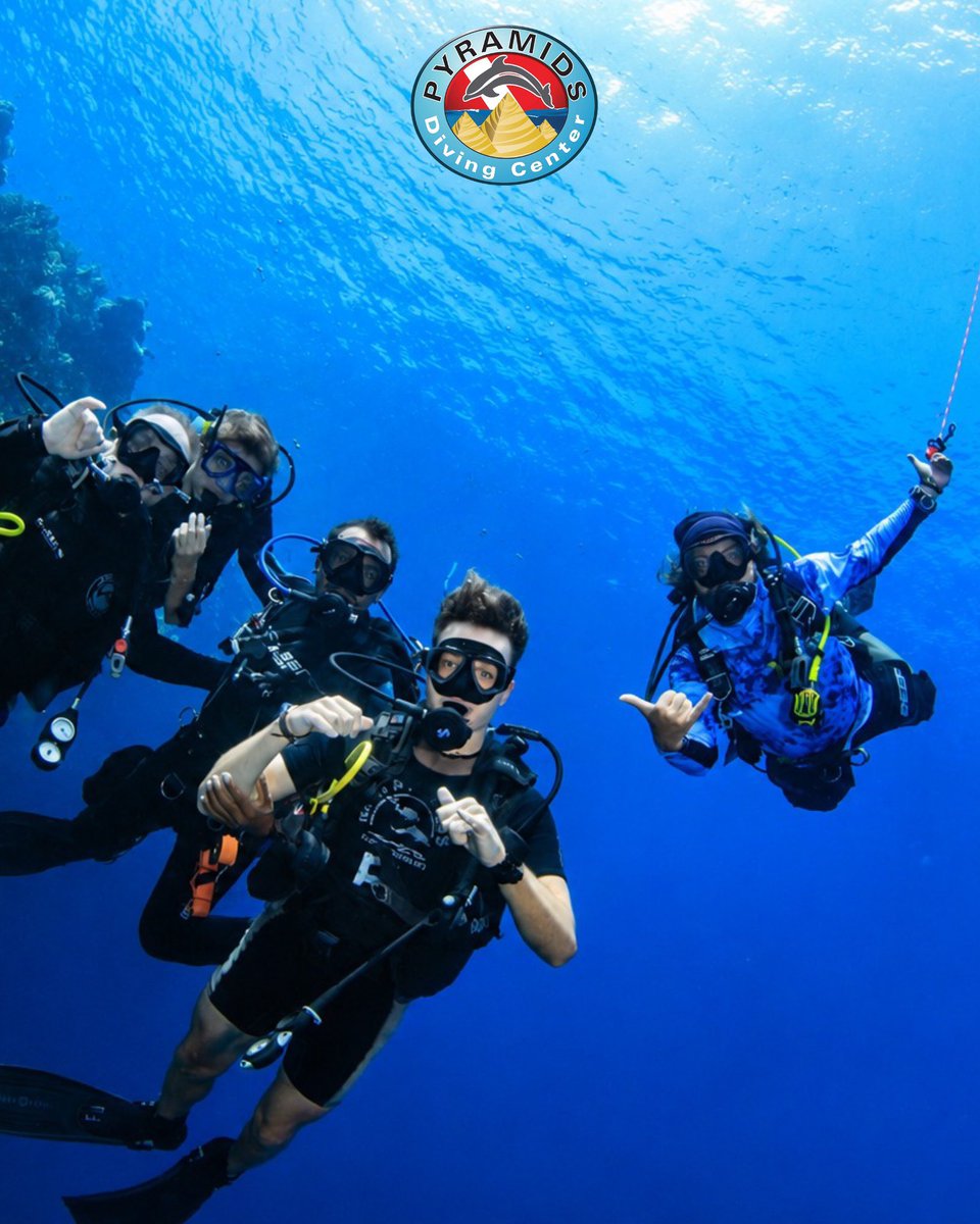 PyramidsDC's tweet photo. 🐠 SHARK &amp; YOLANDA — WHERE THE RED SEA COMES ALIVE 🌊

Book at info@pyramidsdivingcenter.com

WhatsApp +20 112 778 7023 (Italian-English- Spanish)

WhatsApp  +20 115 129 5888 (Russian-English)

https://t.co/0QlcpaGWMb

#PyramidsDivingCenter #SharkAndYolanda #SharmElSheikh https://t.co/hGpcqemn4T