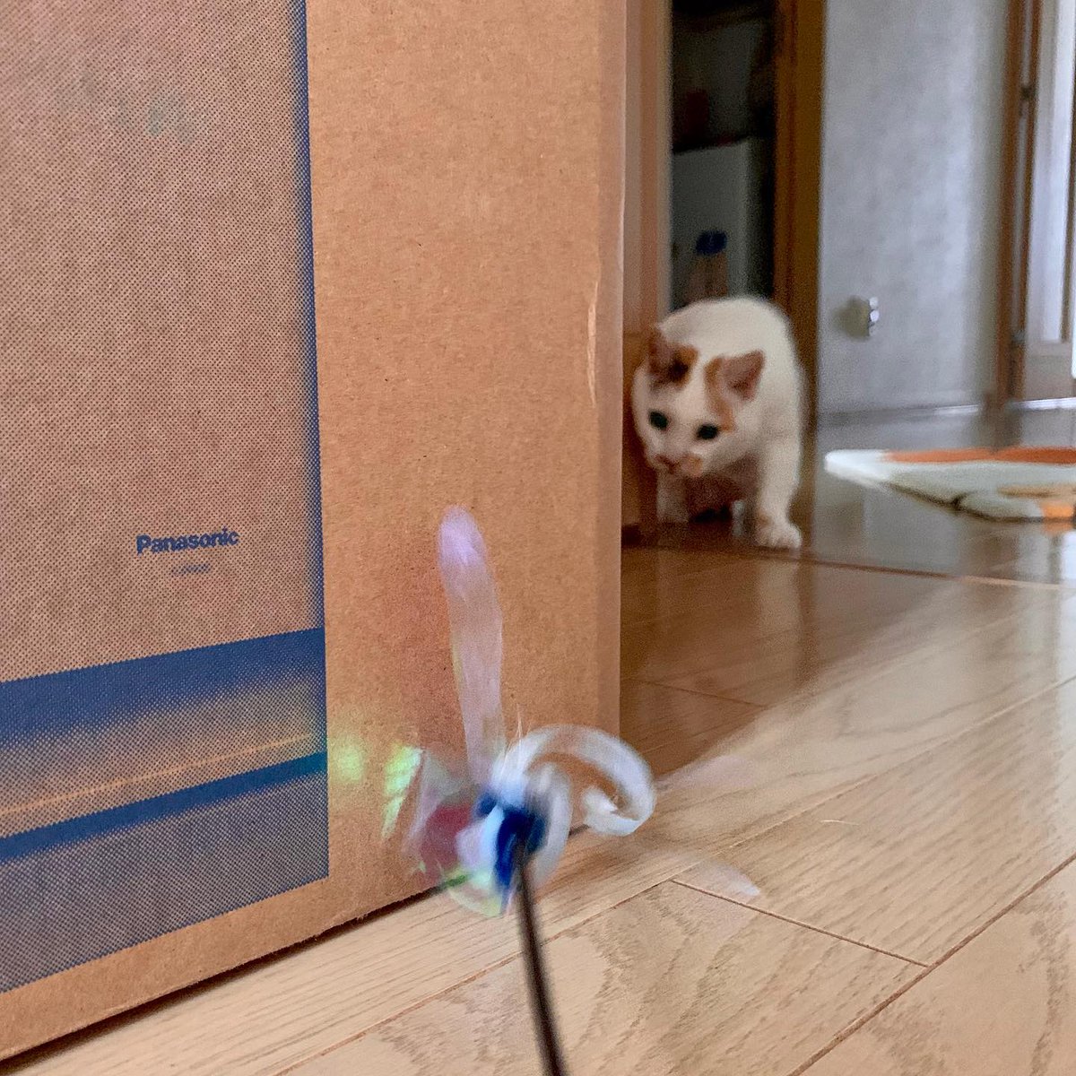 JenniferGrgl's tweet photo. 真剣に追うものがあるって、少しうらやましいね。僕はいつも、自分の本能すら疑ってしまうから。結局、何に振り回されてるんだろう。 https://t.co/0MY1UubVCC