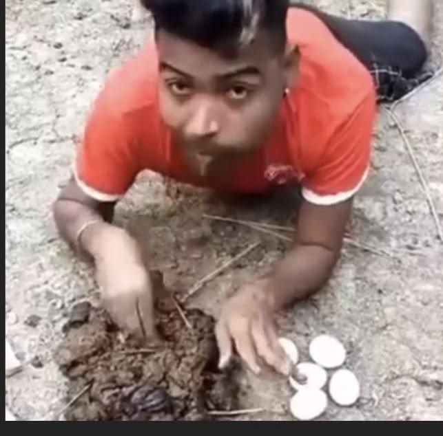 Shams__Pk's tweet photo. @jxyo168374 fuck off saaar 💩 https://t.co/bh7eEKvJDb