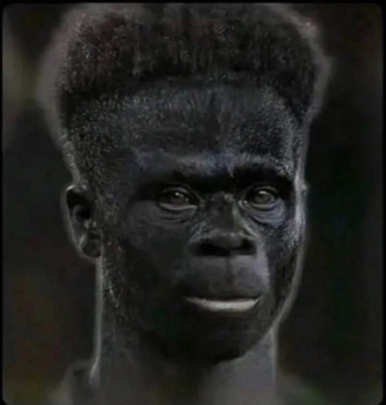Iyawo_Mudryk tweet picture