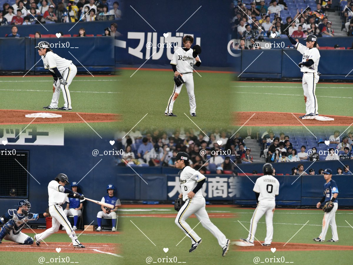 _orix0__'s tweet photo. ୨୧ 2026.09.11୨୧ 

久しぶりのおりほ〜♪♪✨
久しぶりの大商大座り心地神🙏🏻✨すぎて
普通の席に戻れない(戻るけど)
久しぶりのハラハラドキドキ試合やったな〜♪

#渡部遼人
#Bs2026
#オリックス・バファローズ https://t.co/8DfycznUhn