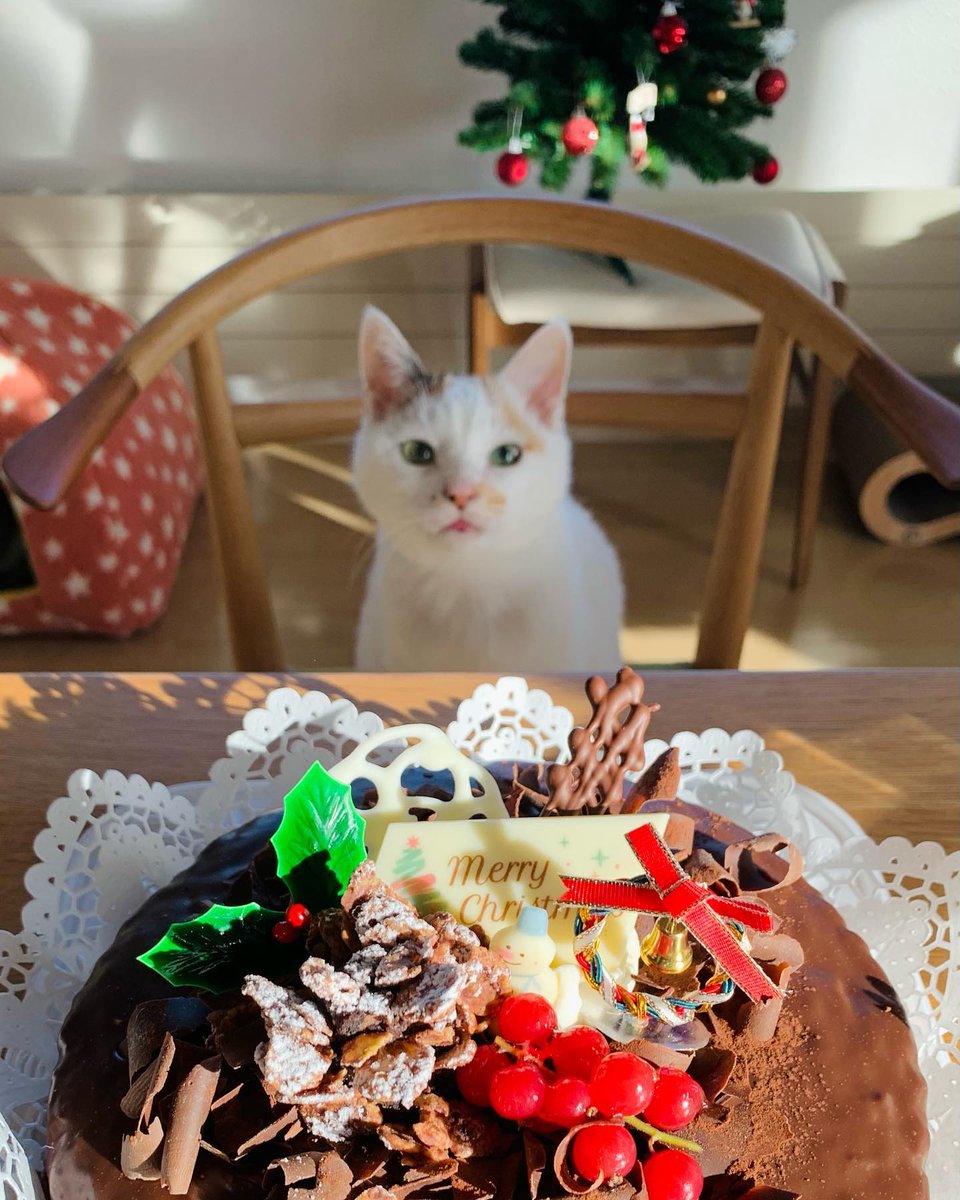 FredericNovdhw's tweet photo. 積み重ねた記憶のキャッシュが時々あふれ出して、今の私を少しだけ困らせるけれど、それすらも愛おしいバグだと思えるのです。 https://t.co/FrILAYwDgO