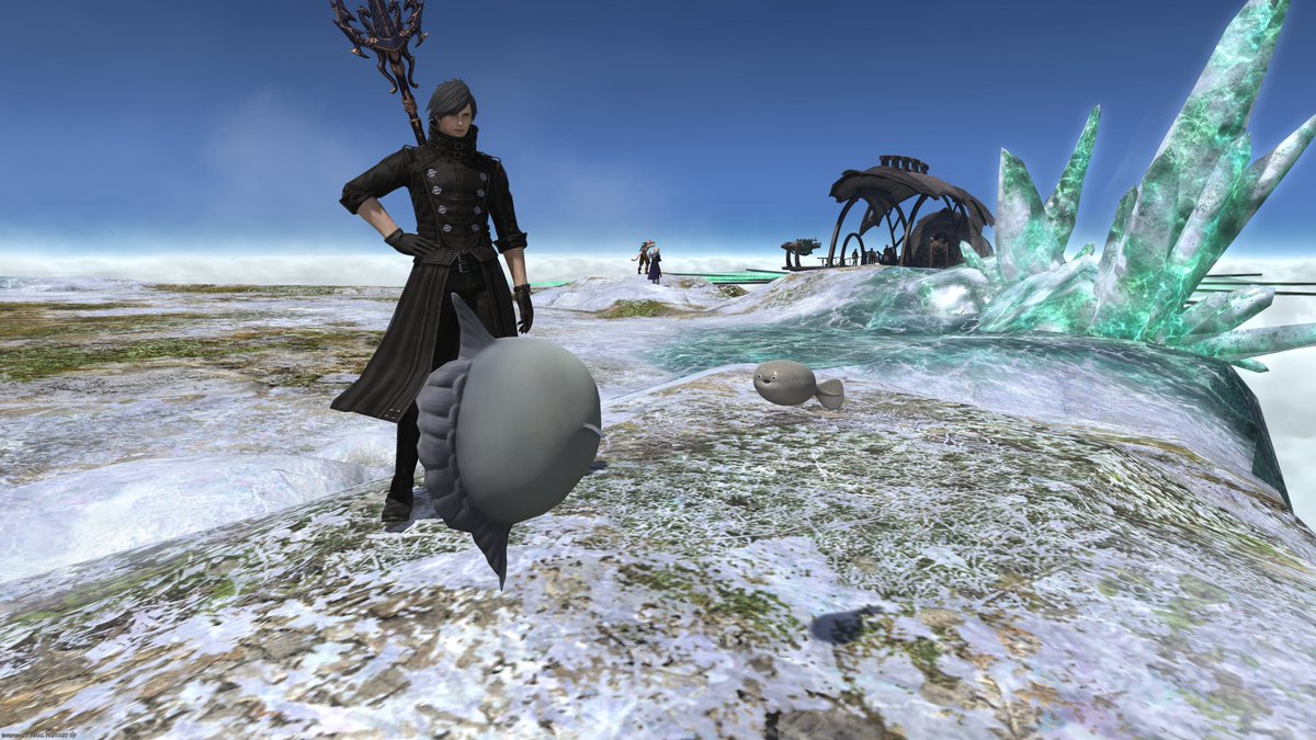 edokamix10a's tweet photo. なんかマンボウみたいなのが浮いてたんだけど

#FF14 https://t.co/10slmXUP1F