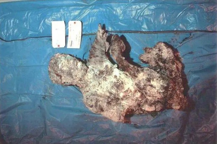 fishyyandrandom's tweet photo. Photos of the 9/11 Clean Up search and recovery https://t.co/tiGbcWBqZa