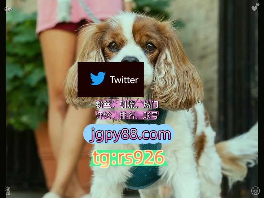 Metsmeiji's tweet photo. Be kind and stay humble always.
粉丝号代发外🍸facebook推特矩阵系统、Twitter矩阵系统、X矩阵系统阿里
推特矩阵管理、营销自动化、内容运营推特账号点赞号沈阳
关键词霸屏🧳熱門🌈权重号🌟推特老号🍄定時發推💐矩阵互动🌞輔助工具🌂围703200海外获客🪐主人的任务🌱阳江 韶关
推特脚本福州厦门 https://t.co/24rQzeu90O
