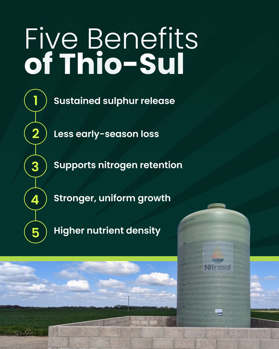NitraSol's tweet photo. As drilling gets underway, it’s also time to consider which fertiliser grade will deliver the best efficiency and efficacy for the season ahead. Here are five reasons growers are choosing Nitrasol® – Formulated with Thio-Sul®. 

Discover Nitrasol:
🔗 https://t.co/HEfcsWxwki https://t.co/UejDfLgQl2