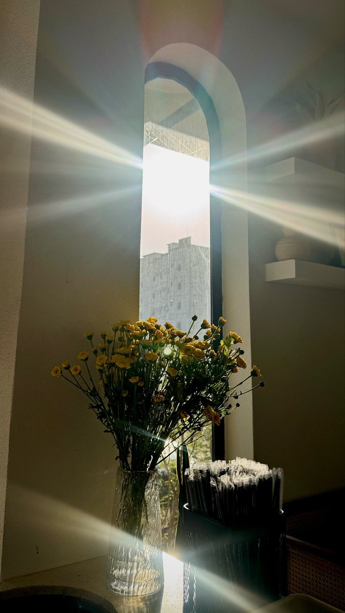 lil_268's tweet photo. ضوء الشمس بين الزهر 🌻! https://t.co/cynl8usCTz