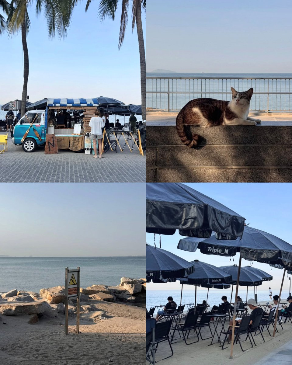 sfkkfs_'s tweet photo. แนะนำหาดวอน - บางแสน 🌊🌤️ 
ได้ mood ดีๆ ทั้งเช้าเย็น เราไปบ่อย  

- ช่วงไม่เกิน 9 โมงเช้า ไปนั่งกินกาแฟชิลๆ  Triple N Bangsaen ไปหลายรอบมากๆ 

- หลัง 16:30 เป็นต้นไป ตลาด WannaPark ร้านขายของกินอร่อยๆเยอะ นั่งดูพระอาทิตย์ตกอย่างสวยย https://t.co/urR89busdk
