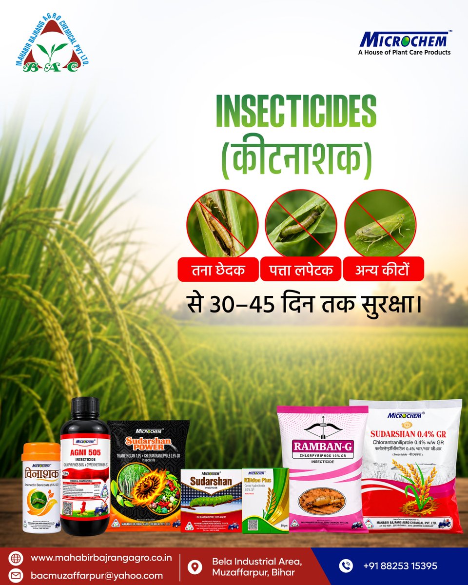 MahabirBajrang's tweet photo. धान की खेती में हर चुनौती का एक ही समाधान - Mahabir Bajrang Agro Chemicals!

कीटों से सुरक्षा, रोगों पर नियंत्रण, खरपतवार का खात्मा और पौधों को पोषण…
एक ही जगह पर सब कुछ।
इसलिए,
माइक्रोकेम अपनाएँ, उन्नत फसल उगाएँ!

#Michrochem #mahabirbajrangagrochemicals #farmingproducts https://t.co/Ca1iMXGRC9