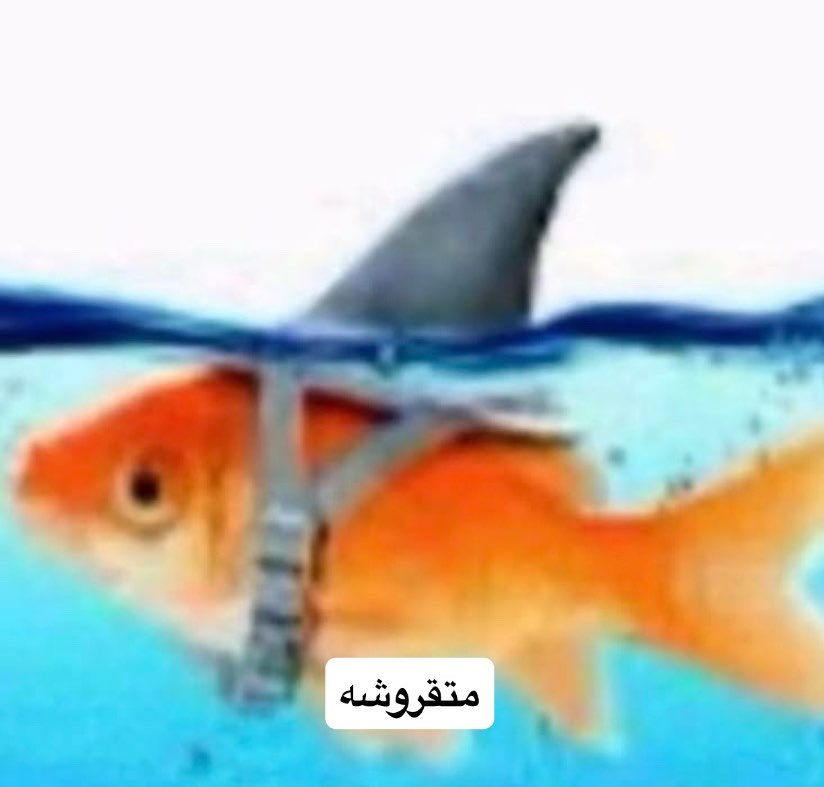 I2IMary's tweet photo. هذي انا طول الاسبوع https://t.co/eawkqmESKl
