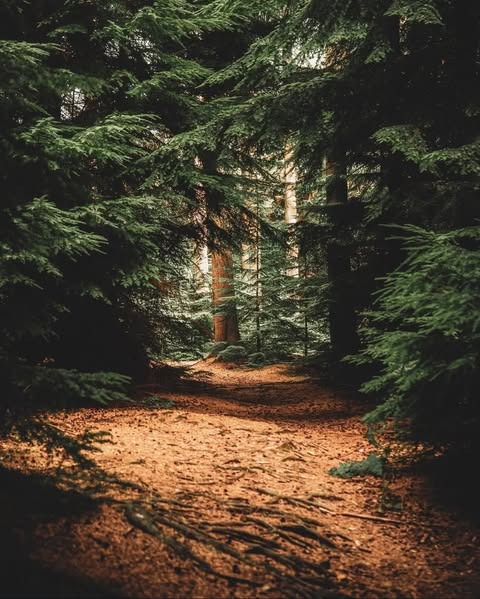 DanielTorragm's tweet photo. Puoi dare l’anima a chi pesa i tuoi respiri come aria qualunque, e poi scoprire che per qualcun altro la tua esistenza è un porto sicuro. Il valore non si contratta, chi vuole esserci impara la tua grammatica emotiva, gli altri continuano a leggerti come un testo straniero. https://t.co/KuTFKHYaOz