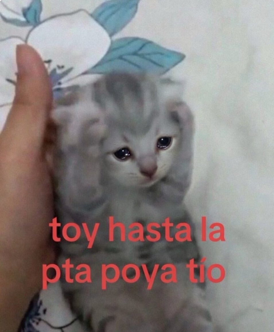 blumen_der's tweet photo. Tabique desviado,
Problemas gastrointestinales 
Y con gripa vtlv q karma estoy pagando hijo de la verga https://t.co/zvTOK6NlRz