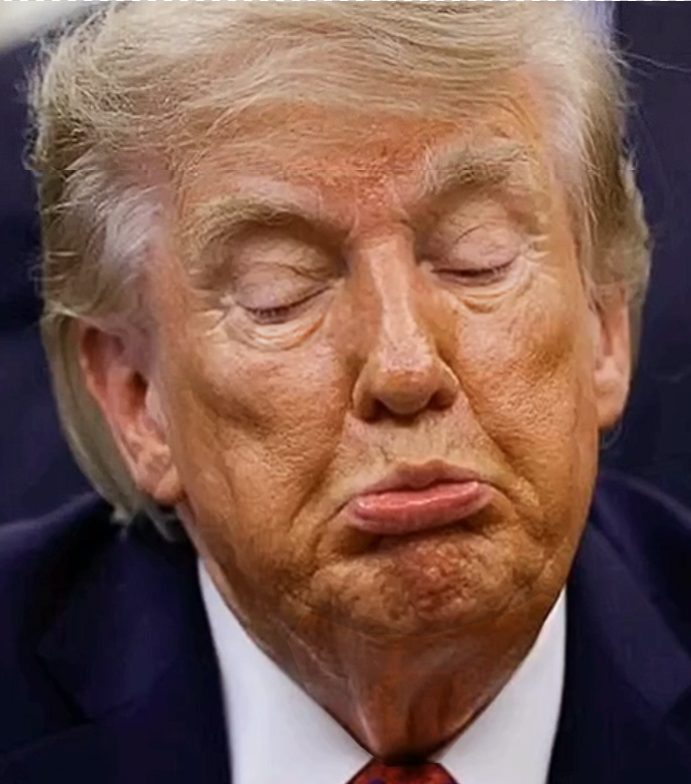 herotimeszero's tweet photo. What a perfect picture of Trump. Old, reptilian, with his clown makeup and hair. A neck that only a gynecologist could love.

But most of all that self-pitying mug. He's not strong enough to win but is too pathetic to accept defeat. So he forever blames the other guy.

He was born without a heart, a soul, or a spine. But his worst trait is utter weakness. His skin is so thin, it's practically translucent. That's why he's so damn ugly. The black hole inside of him seeps out into every hideous pore.
