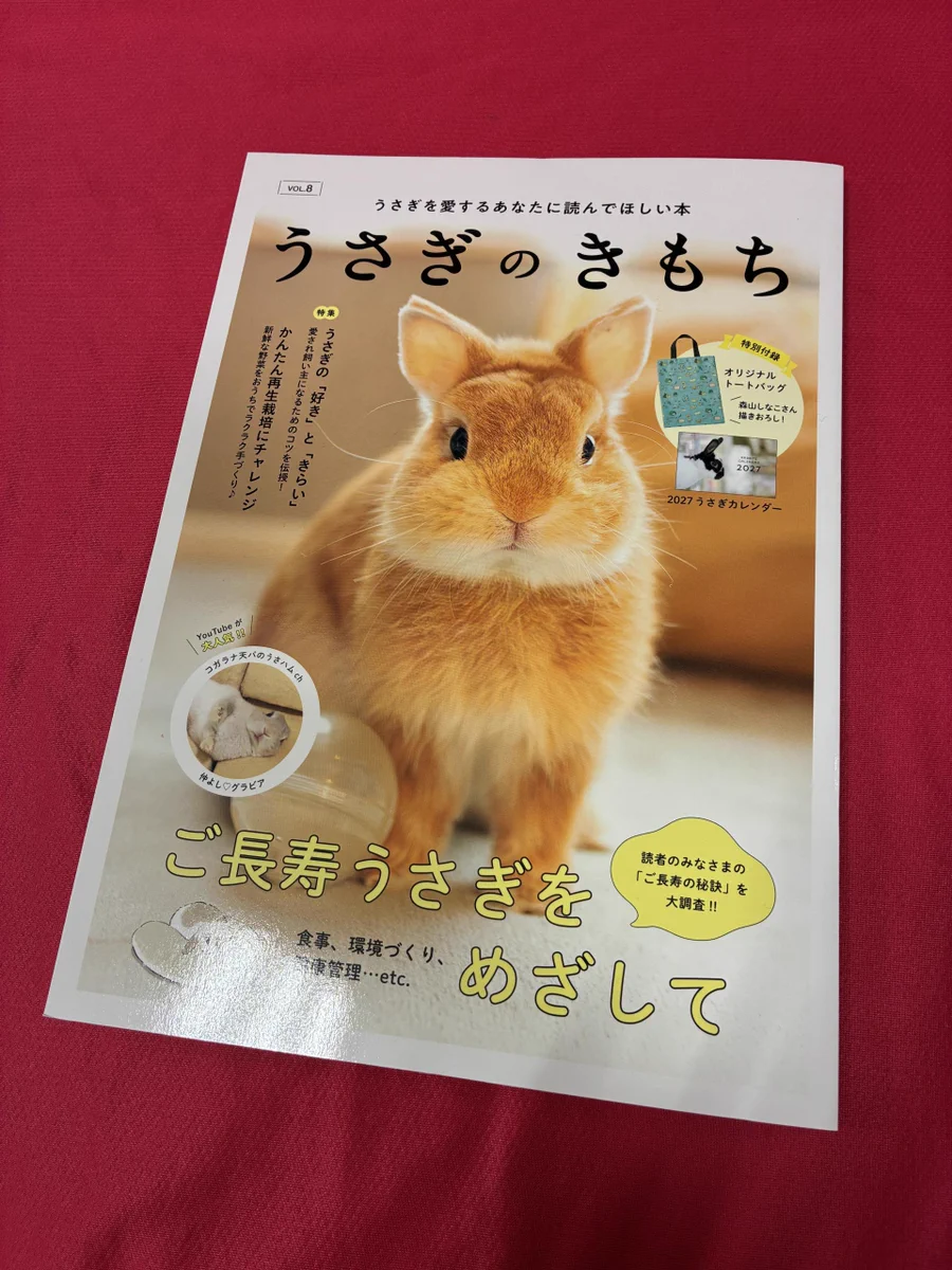 未来屋書店 新潟亀田インター店 on X: 