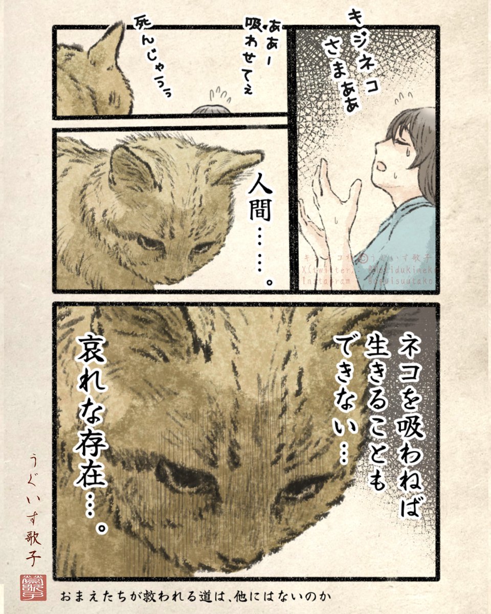 Motidukineko's tweet photo. https://t.co/M8zHDuIBqF