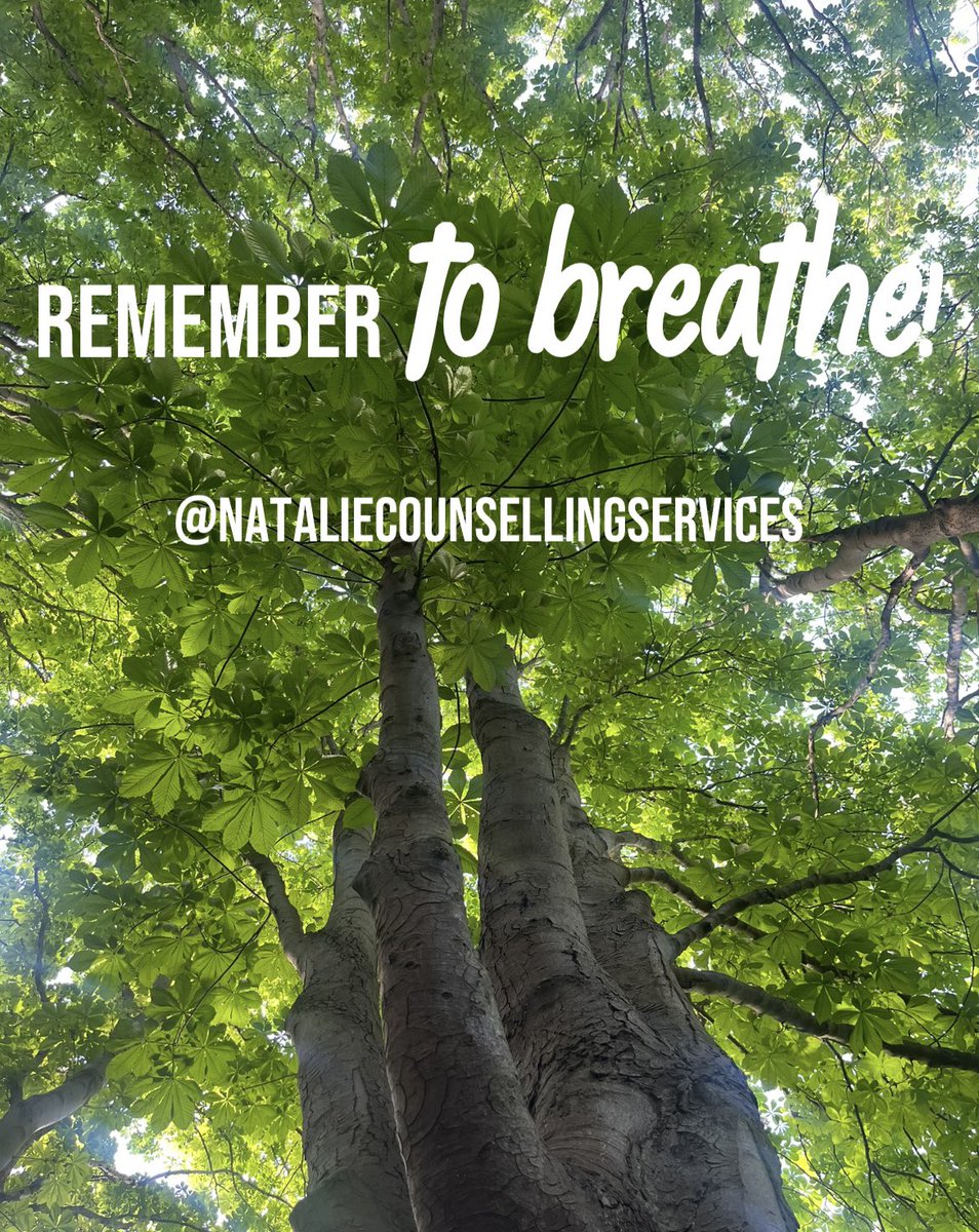 NatCounsellingS's tweet photo. For anyone in #stress or #anxiety remember to #breathe 💚🙏🏼 remember you are stronger then you realise &amp; you can get through anything 💚🙏🏼 https://t.co/H3mA5WPafd