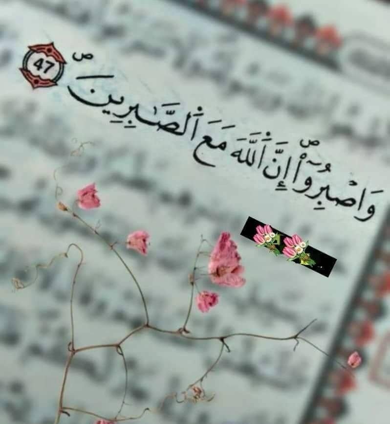BynHq63592's tweet photo. *يوازې قوي عقيده ولري مرگ او رزق دواړه دالله په واک کې دي*

(سبحان الله.الحَمْدُ ِلله.الله أكبر) https://t.co/G3P55TMbcV