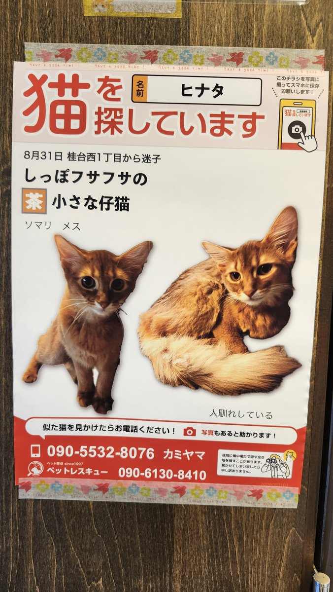 tasu_cafe's tweet photo. よろしくお願いします。 https://t.co/agmb1xJ1hx