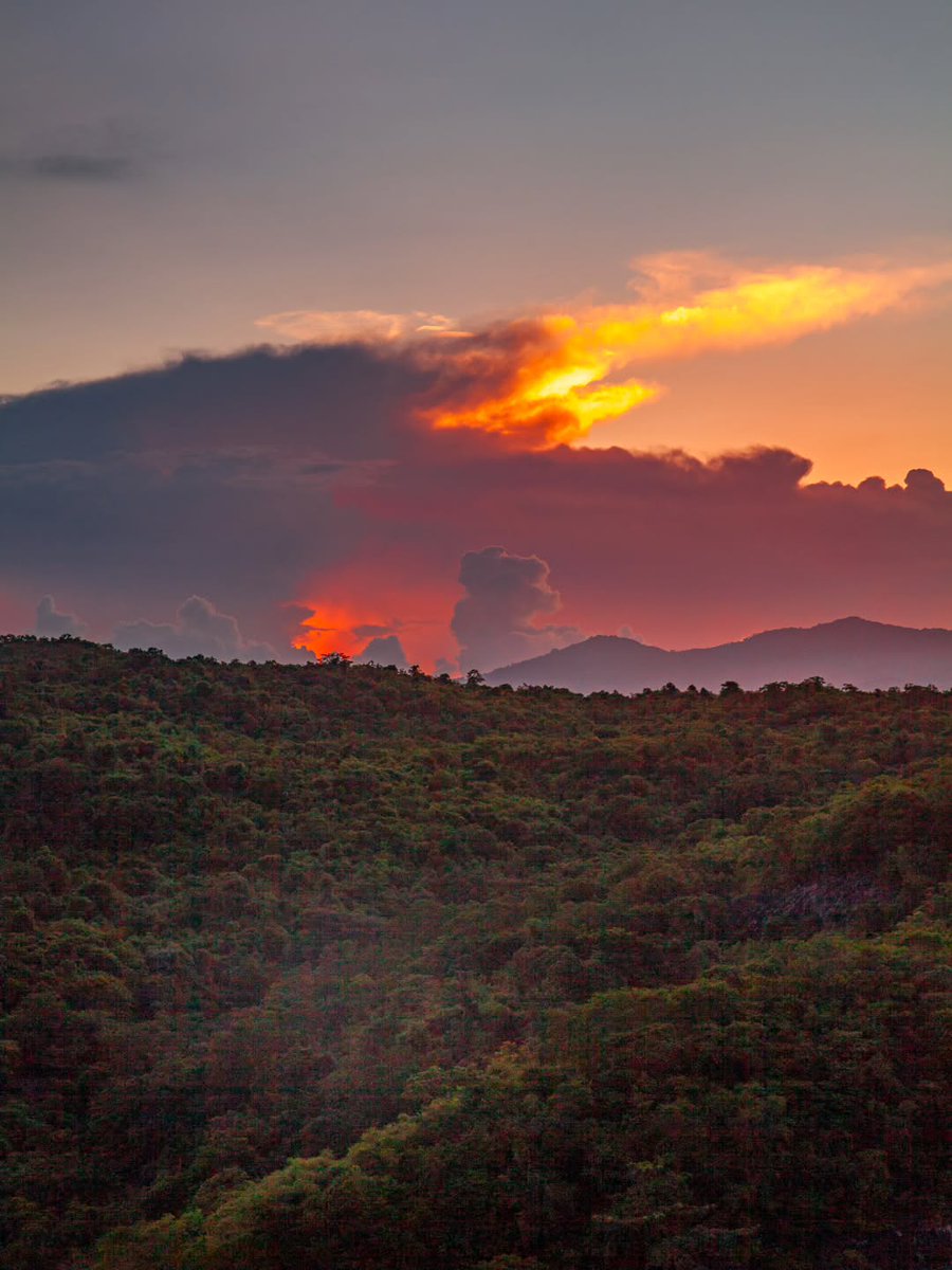 Jenfourtwo's tweet photo. The sky is on fire. https://t.co/KbD3CBWg87