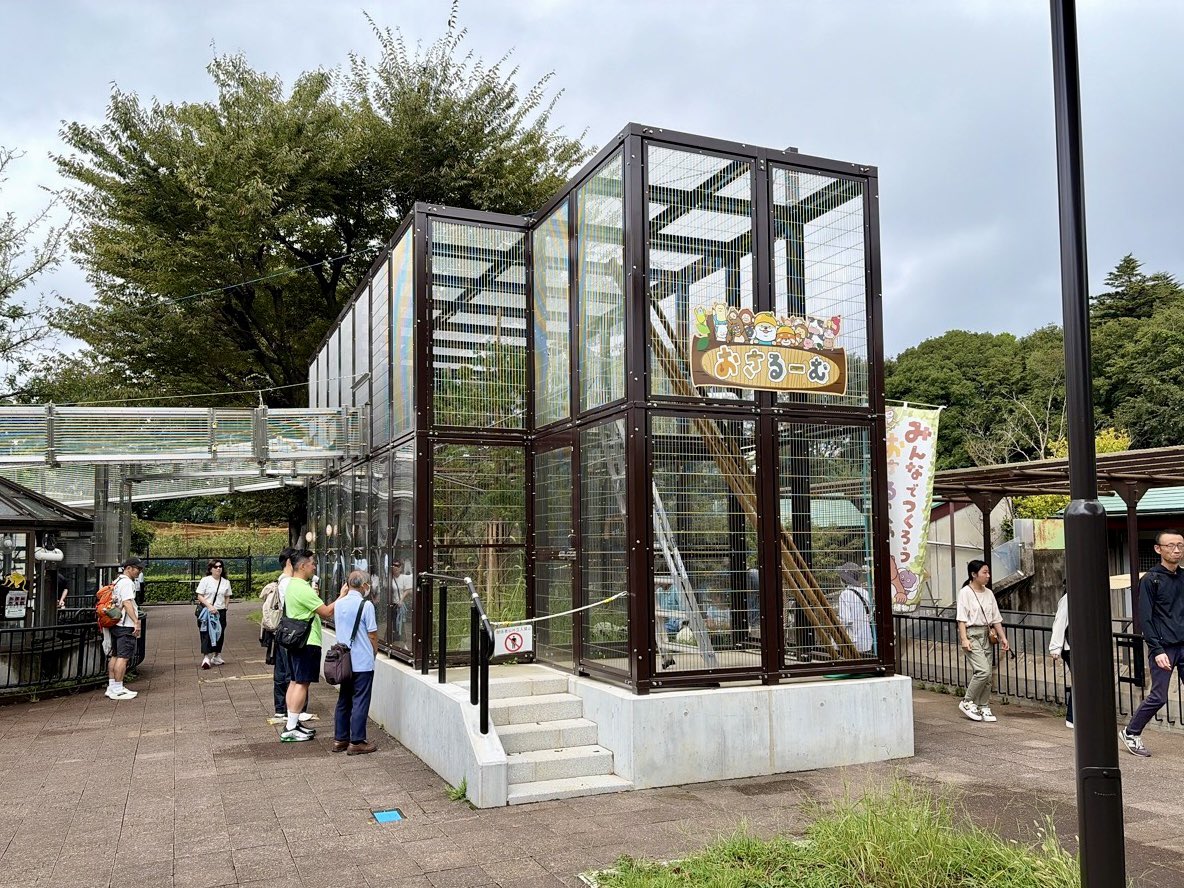 ichikawa_zoo's tweet photo. 9/5(土)11:55
雨も上がり涼しい園内です。

サル山工事ではご迷惑をおかけしています。
ニホンザル達は皆のんびりしていますので
どうぞご安心くださいね。

写真は、おさるーむでご飯中の
エリマキキツネザル。
涼しいのかこちらも #ごはモ です！

#市川市動植物園 https://t.co/R5MDTb6RzB