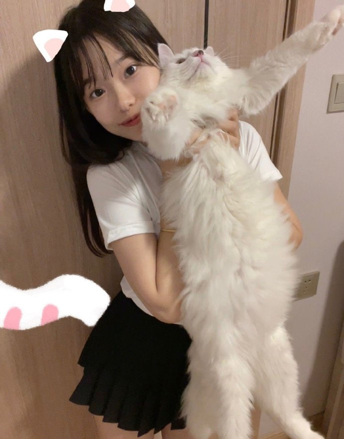 moln638870's tweet photo. 超級大隻的小喵喵 https://t.co/FWBI9kK5No