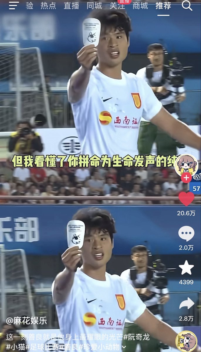 wodanggangqiang's tweet photo. 我注意到好几个媒体报道了这件事，在体育直播做这个是真的需要很大的勇气，很有可能会被封杀处罚等，动物保护法究竟什么时候落地？#wangwang #justiceforwangwang #WangWangを忘れない https://t.co/xEBGX6zx3Y