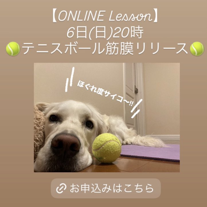 senons_academy's tweet photo. おはようございます

明日6日(日)20時
🎾テニスボール筋膜リリース🎾
申込み受付中✨️

ご予約はこちら⤵︎ ︎
https://t.co/gEXN3tH8RV

ドタ参加もOK‼️ご相談下さい

肩、凝ってませんか？
股関節、固まってませんか？
ストレス、たまってませんか？
細かく全身ほぐして
身体楽にしてあげましょう♪ https://t.co/CtujGBFRzI