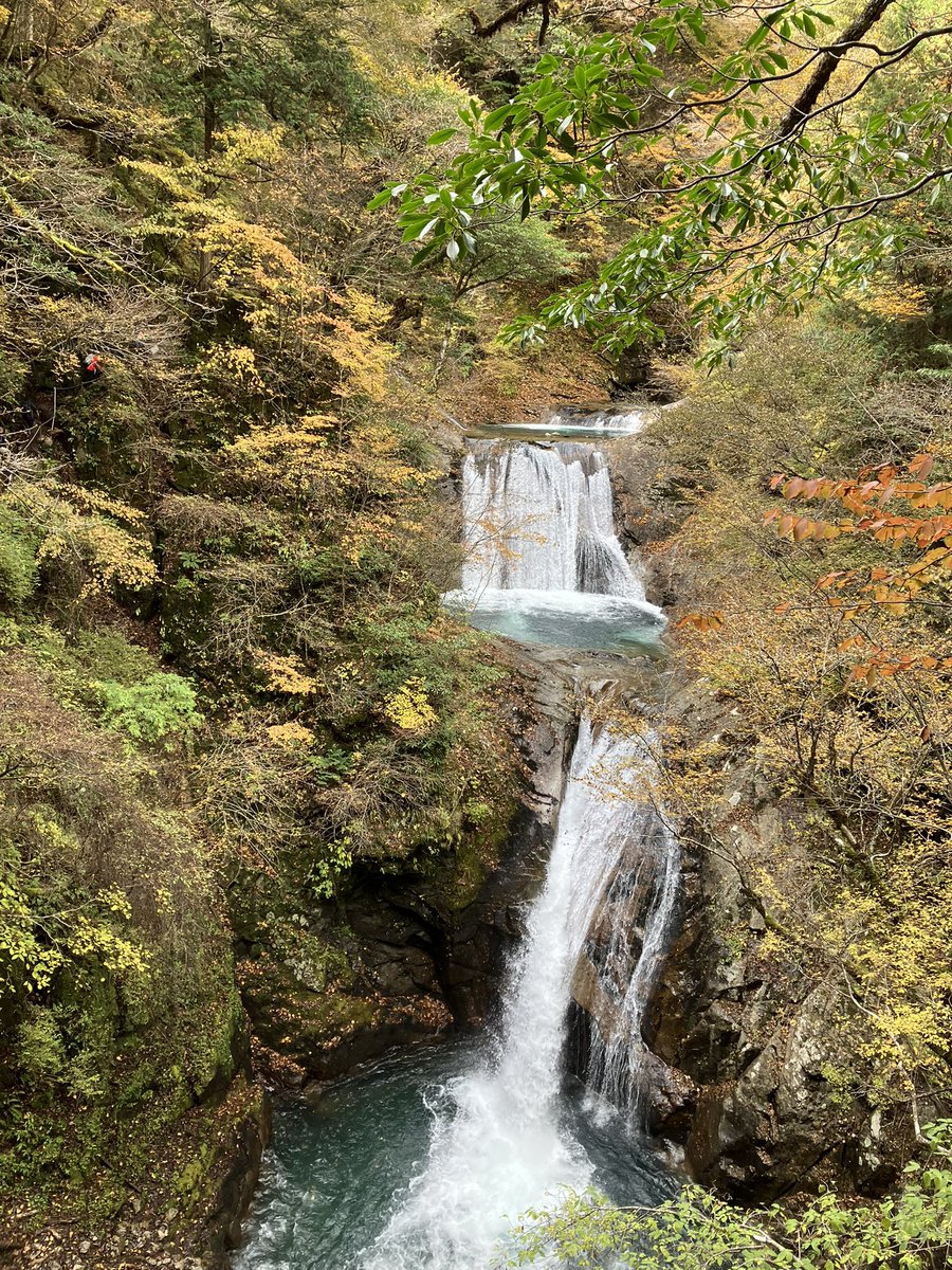 Nikusatomi's tweet photo. おはよう⛰️ 朝からシトシト雨模様☔ 気温もグンと下がり肌寒い😣さすがに今日⛰️はお休みです😅 毎週登山❗️⛰️に行かない土曜はいつぶりだろう？ってぐらい今まで、🌧️や土用期間の間日でも⛰️に行けていた訳で本当ラッキーだったな😊山屋のＩさんから紅葉🍁におすすめの⛰️を教えてもらい調べてみよう💕 https://t.co/48GW9jT0F2