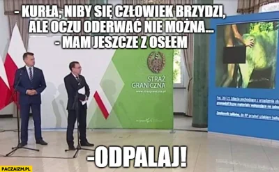 Groozman0's tweet photo. @M0hiKanin @CTomczyk @donaldtusk @KosiniakKamysz co ty pierdolisz? chodzi ci o to? https://t.co/AlBGv5cuJs