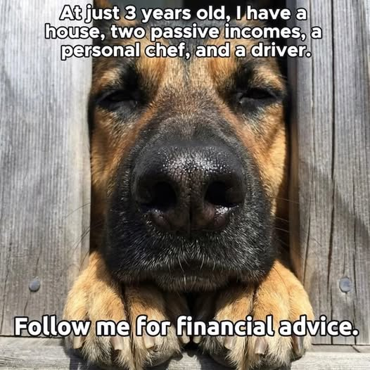 BollingerTodd's tweet photo. https://t.co/DAVqXl1k56