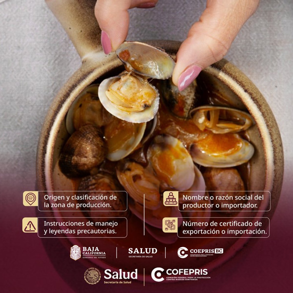 CoeprisBCOficia's tweet photo. #MoluscosBivalvos como #ostiones, 🐚 #almejas, #mejillones y #callodehacha requieren control sanitario.
Al consumirse crudos o con poca cocción y filtrar grandes volúmenes de agua, pueden acumular contaminantes peligrosos.
Elige siempre productos de productores autorizados https://t.co/UCEPuIxG1G