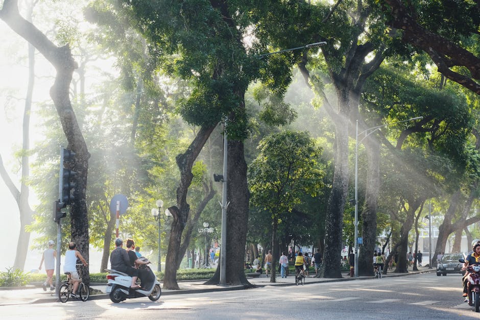 mrleosc_0itz's tweet photo. Ava Bella Benjamin Grace Smiles and Amelia laughs unforgettable vibes kiana conlans📀 https://t.co/2P48fuVTmq