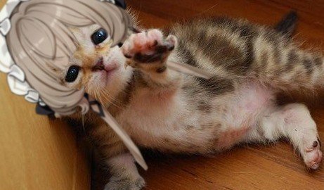 minjinasa's tweet photo. ...don't go, columbina https://t.co/5RcPSiTc5A