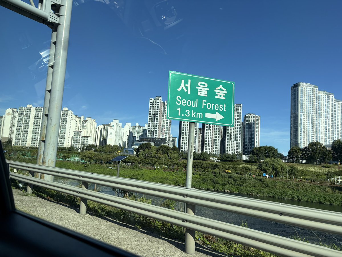 DAWNSTARmj's tweet photo. Seoul forest around)

like this was what Seoul 
like as a whole
as if this was all there was. https://t.co/sAvyn13ewJ