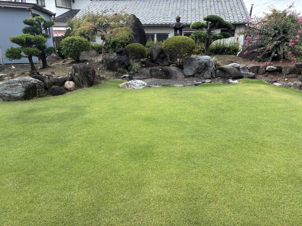 TOSHI2014_413's tweet photo. やっとツクツクボウシが鳴きだした。
芝生12.5mmでカット
さあ草刈りするか https://t.co/pMQMnkjOA5